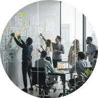 AEO Website Company Umm Al Quwain