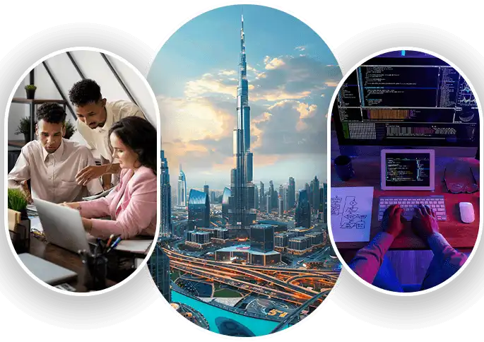 Professional Web Development Services Dubai Web Development Services Company in Dubai