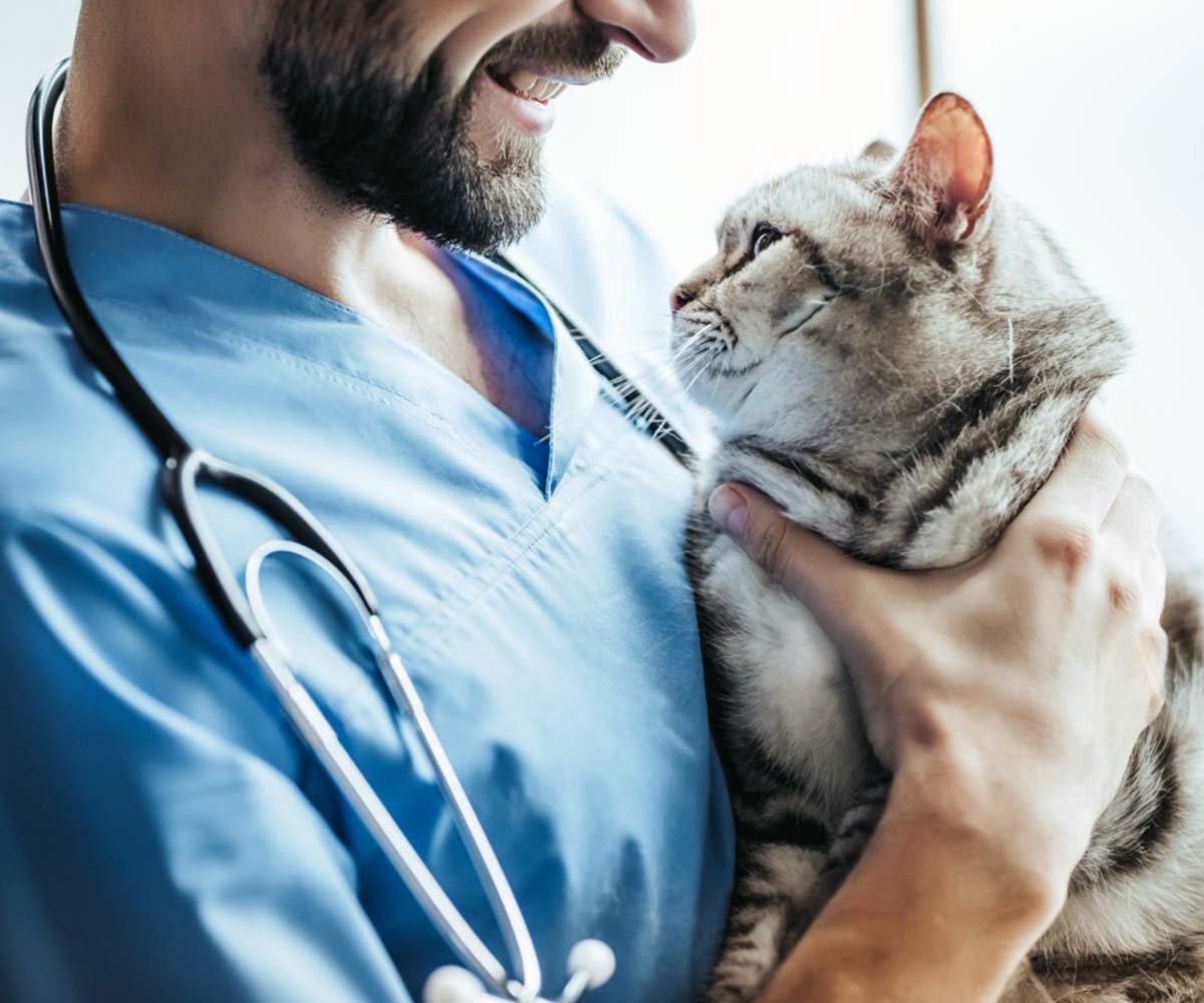 Pet Clinic Website Dubai