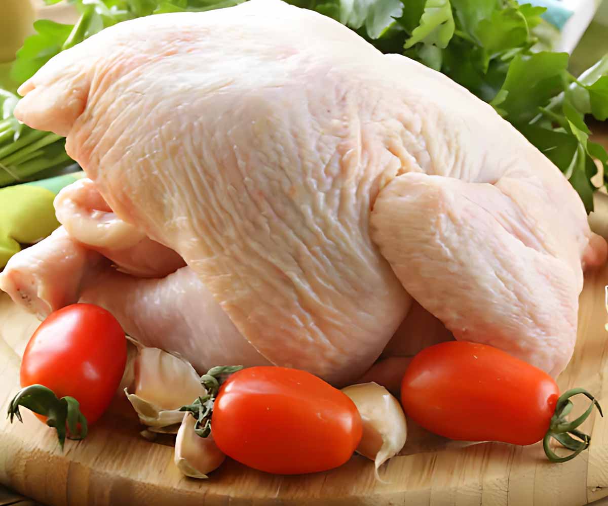 Poultry Website Dubai Poultry Website Dubai