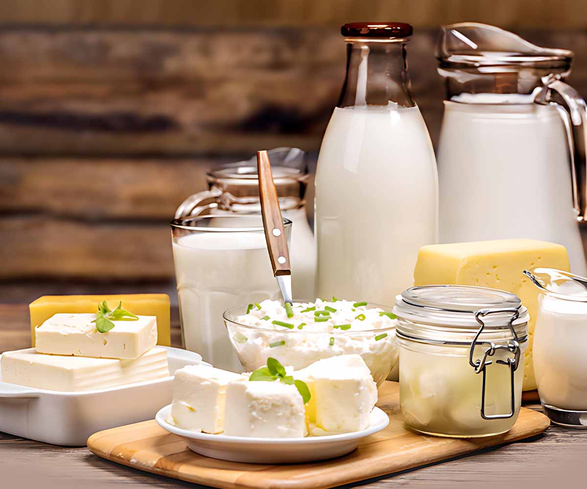 Dairy Products Website Dubai Dairy Products Website Dubai