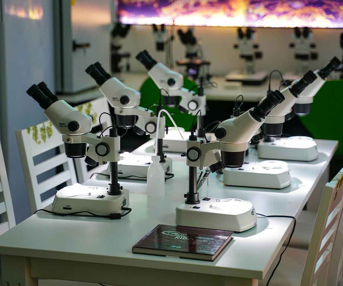 Laboratory Equipment Website Dubai Laboratory Equipment Website Dubai