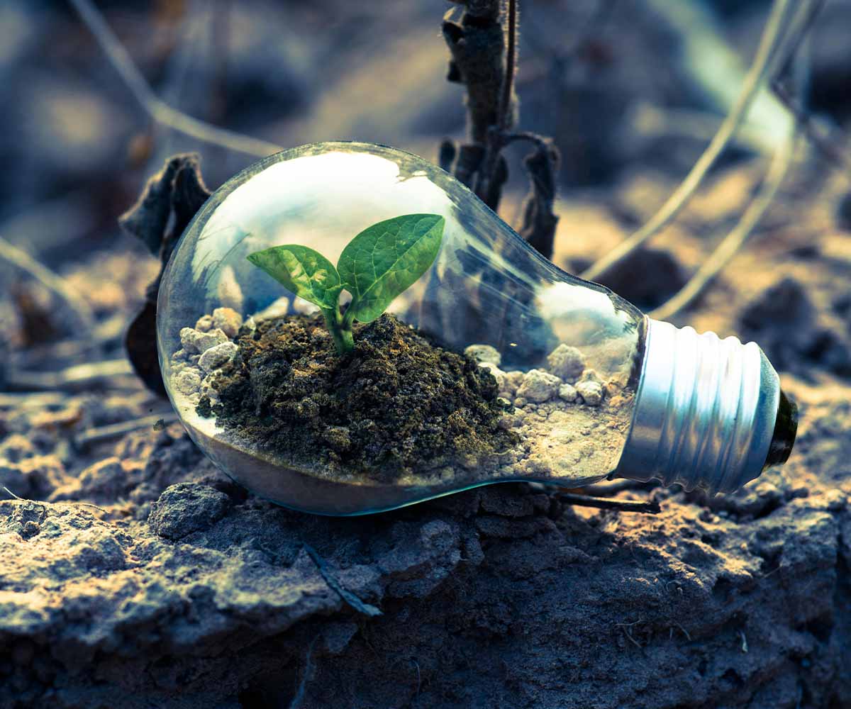 Eco Products Website Dubai