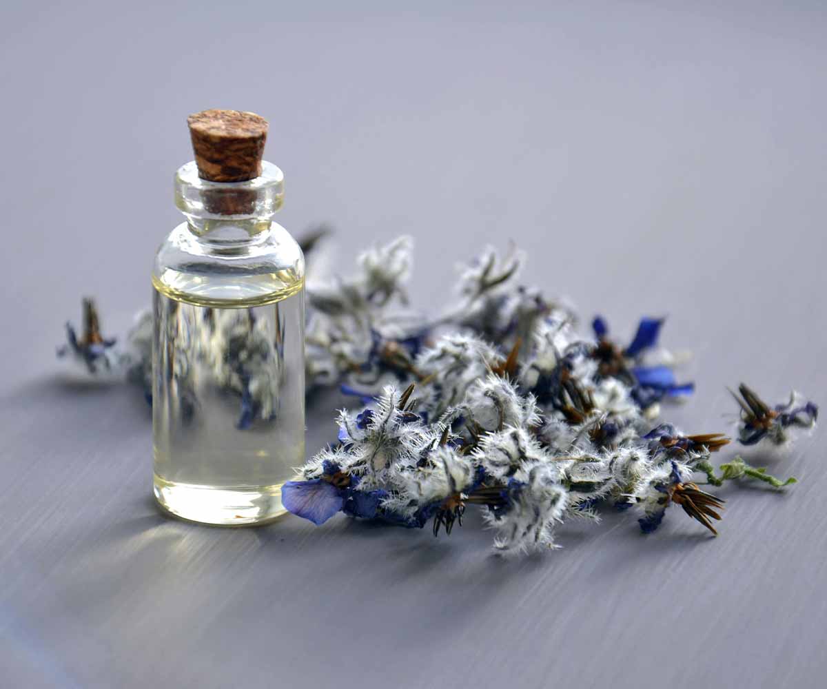 Luxury Perfume Website Design Dubai Luxury Perfume Website Design Dubai